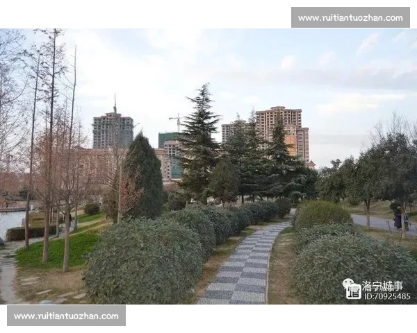 城市球迷协会凝聚热爱力量携手共筑荣耀梦想新篇章与城市同行共创未来